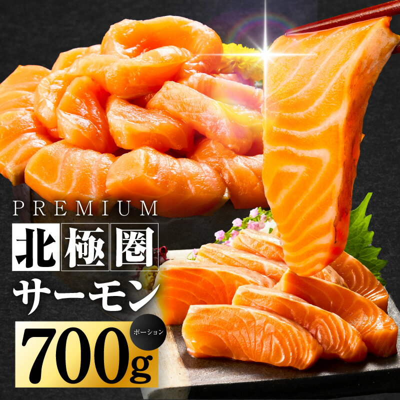 【ふるさと納税】北極圏サーモン ポーション 700g アトランティックサーモン サーモン 小分け 350g × 2パック 魚介類 魚 海鮮 鮭 ノルウェー産 生食 刺身 カルパッチョ お寿司 パスタ 食品 お取り寄せ 冷凍 大阪府 泉佐野市 送料無料 骨取り 骨抜き