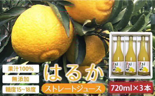 
            【糖度15〜18度】無添加「はるか」果汁100％ストレートジュース（720ml×3本） 長与町/井上柑橘園 [EAA002] ジュース みかんジュース 飲料 ストレートジュース 100％ジュース 無添加
          