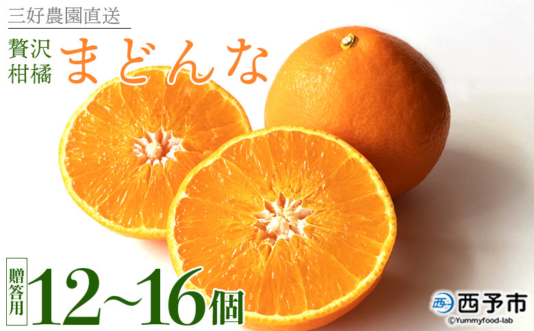 
            紅まどんなと同品種！＜贅沢柑橘「まどんな」贈答用 12～16個入り＞ 果物 フルーツ 愛媛果試第28号 みかん 蜜柑 ミカン オレンジ マドンナ ギフト 贈り物 特産品 三好農園 西宇和 愛媛県 西予市【常温】
          