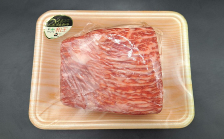 熊本県産 A5等級 黒毛和牛 和王 赤身ブロック 約500g×2P 計約1kg【帝神志方ミート 株式会社】[AYCH060]