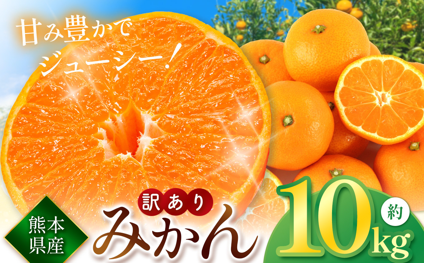 
            こだわり栽培 訳あり みかん 約 10kg iFARM 岩城農園 | フルーツ 果物 くだもの 柑橘類 柑橘 みかん ミカン 訳アリ ご家庭用 家庭用 10キロ 熊本県 玉名市
          
