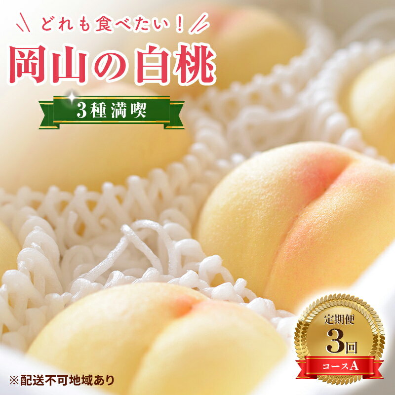 【ふるさと納税】【 2026年 先行予約】 桃 岡山県産 どれも食べたい！岡山の桃 3種 満喫 プラン 3回 コースA ( 日川白鳳 ・ 白鳳 ・ 白皇 各1.5kg)《2026年6月上旬-8月下旬頃出荷》白桃 数量限定 期間限定 定期便　お届け：2026年6月上旬～2026年8月下旬