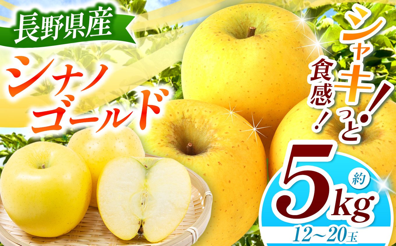
            【2026年先行予約】シナノゴールド 約5kg ｜ 浅野農園 リンゴ りんご 林檎 果物 くだもの フルーツ 果実 果汁 シナノゴールド 長野県 松川村 信州
          