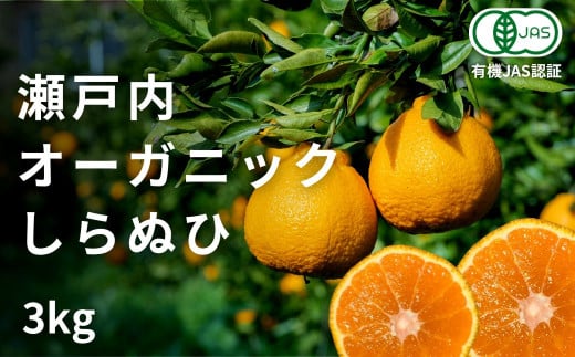 [予約] 2〜3月発送 オーガニックしらぬひ 約3kg 国産 有機JAS認証 瀬戸内 広島 大崎上島 離島 有機栽培 柑橘 果物 オーガニック フルーツ ギフト 防腐剤不使用 ワックス不使用 無添加 安全 安心 送料無料 産地直送 中原観光農園