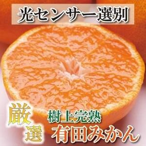 厳選 完熟有田みかん5kg+150g（傷み補償分）＜11月より発送＞