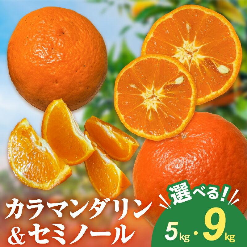 【ふるさと納税】【先行予約】ミカファーム カラマンダリン＆セミノール詰め合わせ 5kg 9kg 春頃発送 三重県御浜町産