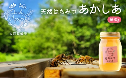 天然はちみつ あかしあ 600g 大西養蜂場  非加熱はちみつ 非加熱 ハチミツ 蜂蜜 国産 国産はちみつ 国産はちみつ非加熱 アカシア蜂蜜 非加熱蜂蜜 国産蜂蜜 はちみつ 岩手 岩手県 盛岡市