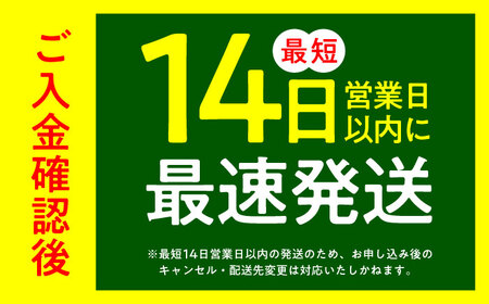 令和7年産 夢つくし 無洗米 10kg ABCO036 無洗