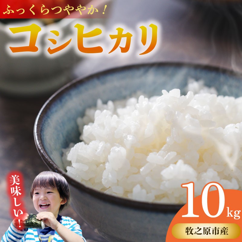 
                  コシヒカリ 10kg 無洗米 5kg × 2袋 お米 米 白米 こしひかり おこめ こめ 精米 ご飯ごはん おいしい 国産 日用品 日常 便利 甘い おこめ 米 お米 白ご飯 ごはん ご飯 お米 米 人気 お米 米 こめ おこめ 贈答 プレゼント ギフト おすすめ 贈り物 予約 お弁当 おむすび おにぎり 食品 お弁当 ご飯 日本 安心 農家直送 産地直送 山本耕業 こめ香 静岡県 牧之原市
                