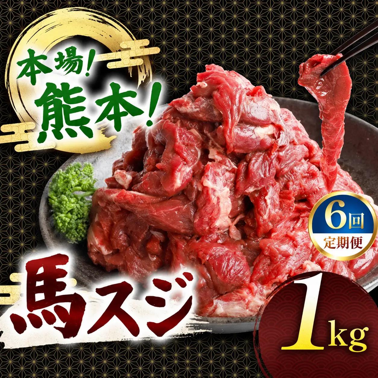 【定期便 6回】馬スジ 1kg ( 500g × 2 ) | 肉 にく お肉 おにく 馬 馬肉 馬スジ 定期 定期便 熊本県 玉名市