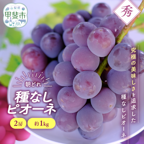 【✩先行予約✩2026年/令和8年発送分】種なしピオーネ2房　約1kg　人気　おすすめ　国産　贈答　ギフト　お取り寄せ　　山梨県産　産地直送　フルーツ　果物　くだもの　ぶどう　ブドウ　葡萄　ピオーネ　新鮮