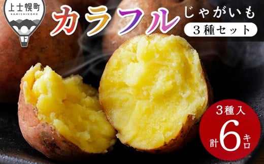 北海道産 カラフル じゃがいも 3種セット 計6kg（2kg×3種） 北海道 上士幌町 加藤農場 野菜 ジャガイモ 馬鈴薯 産地直送 おすそ分け用紙袋2枚付き ［009-V71］