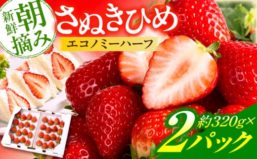 【先行予約】苺音エコノミーハーフ ～気軽に楽しむさぬきひめいちご～ 約640g | おすすめ 人気 果実 果肉 果物 フルーツ デザート 贈り物 苺 さぬきひめ 贈答 ご褒美 ギフト 旬の果物 季節の果物 旬 季節 青果物 香川県 三木町  |_mk137-009