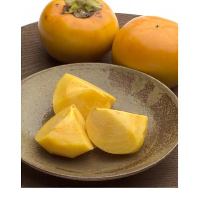 ふるさと納税 山鹿市 太秋柿 約3kg【日本フルーツ株式会社】(山鹿市) |  | 02