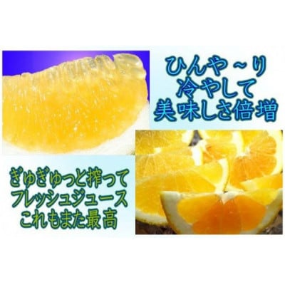愛媛県八幡浜産・ジューシーオレンジ8kg【訳あり】【C35−25】【1492223】