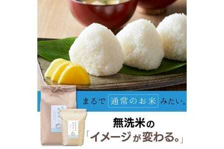 【定期便】 5kg【12ヵ月連続お届け】 計60kg 広島県産 無洗米 ラクしても美味しさそのまま お米マイスター厳選