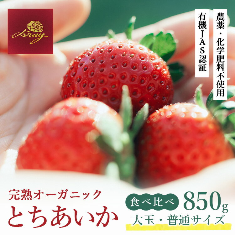 【ふるさと納税】完熟オーガニックとちあいか 大玉・普通サイズ食べ比べ ※2026年12月～発送