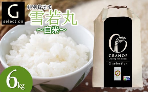【令和7年産先行予約】 特別栽培米 Gセレクション 雪若丸 【白米】 6kg(6kg×1袋) 山形県鶴岡市産　株式会社グラノフ