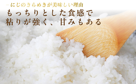 米 にじのきらめき 5kg 米 久喜市 埼玉県 