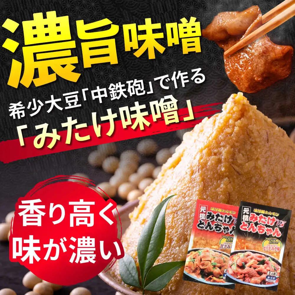 「元祖みたけとんちゃん」 3種セット（12人前）[AVAA057]ホルモン 食べ比べ