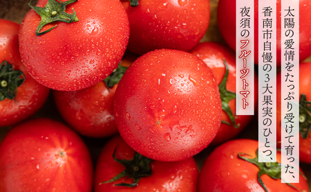 夜須のフルーツトマト 2kg 定期便 3回 トマト Wyu-0027