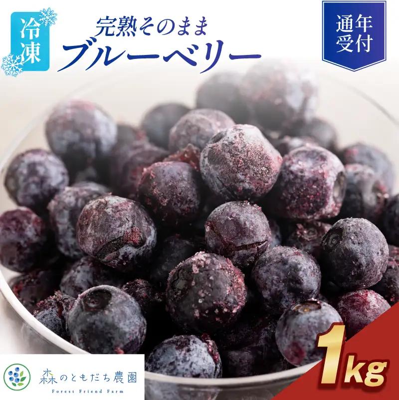 森のともだち農園 冷凍ブルーベリー 1kg