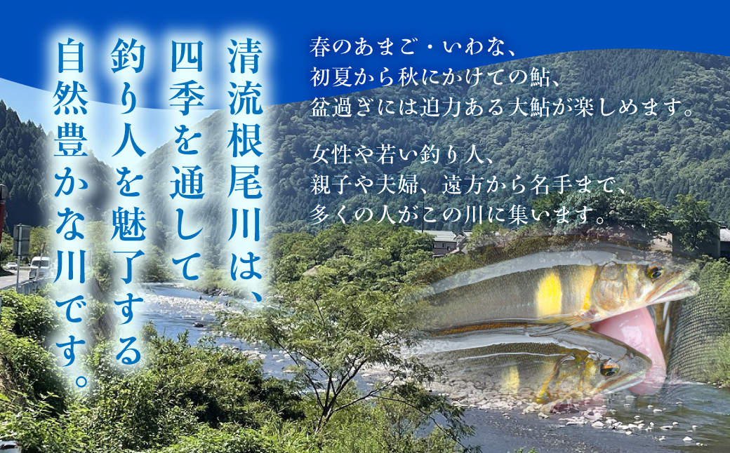 【一般（女性） あゆ 年間遊漁証引換券（令和８年シーズン用）】 釣り あゆ 鮎 あゆ釣り 鮎釣り 年間遊漁証引換券 年券 チケット 引換券 根尾川筋漁業協同組