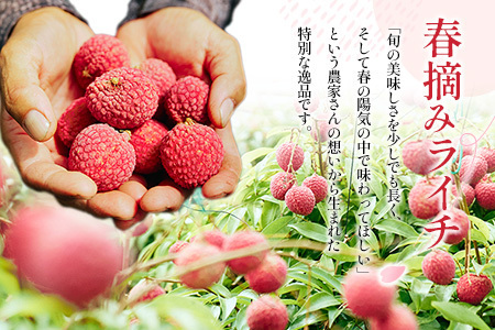 ライチ 4/20～4/28 期間内出荷 モリノライチ 果物 フルーツ S30