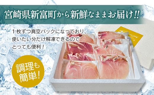 チョウザメの切り身70g×8パックセット 魚介 真空パック カット済み 国産 切身 宮崎県【B687】