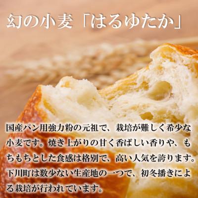 ふるさと納税 下川町 北海道下川町産強力粉はるゆたか100% 25kg バイオ炭施用 カーボン・オフセット付 業務用紙袋 |  | 01