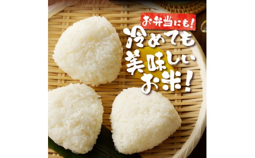 新米【先行受付】令和7年産特別栽培ななつぼし 5kg×2袋 6ヶ