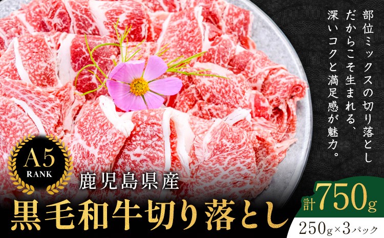 
                  鹿児島県産黒毛和牛切落し250ｇ×3パック LRプラスK 《90日以内に出荷予定(土日祝除く) 》  鹿児島県産 A5 黒毛和牛 和牛 切落し 250ｇ×3パック 計750g
                