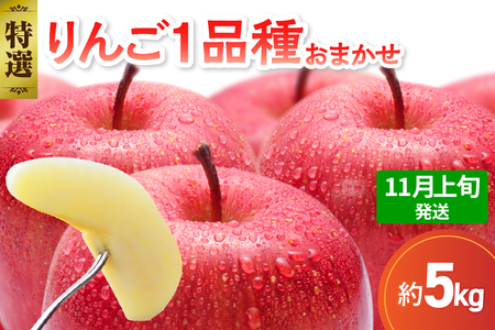 【2025年11月上旬発送】 【特選】 旬の美味しい りんご 約5kg 青森産 【おまかせ1品種】