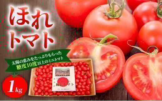 高糖度「ほれトマト」1kg　太陽の恵みをたっぷりもらった糖度10度以上の極上ミニトマト 瑞穂市 お取り寄せ 野菜【予約販売】 [№5787-1064]