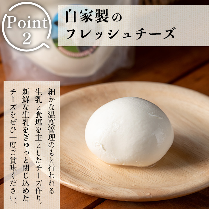 y466 放牧牛乳の手作りチーズセット(5種) 国産 鹿児島県産 湧水町産 乳製品 ちーず 生チーズ モッツァレラチーズ ボッコンチーニ クリームチーズ ストリングチーズ スカモルツァ 調味料 おつま