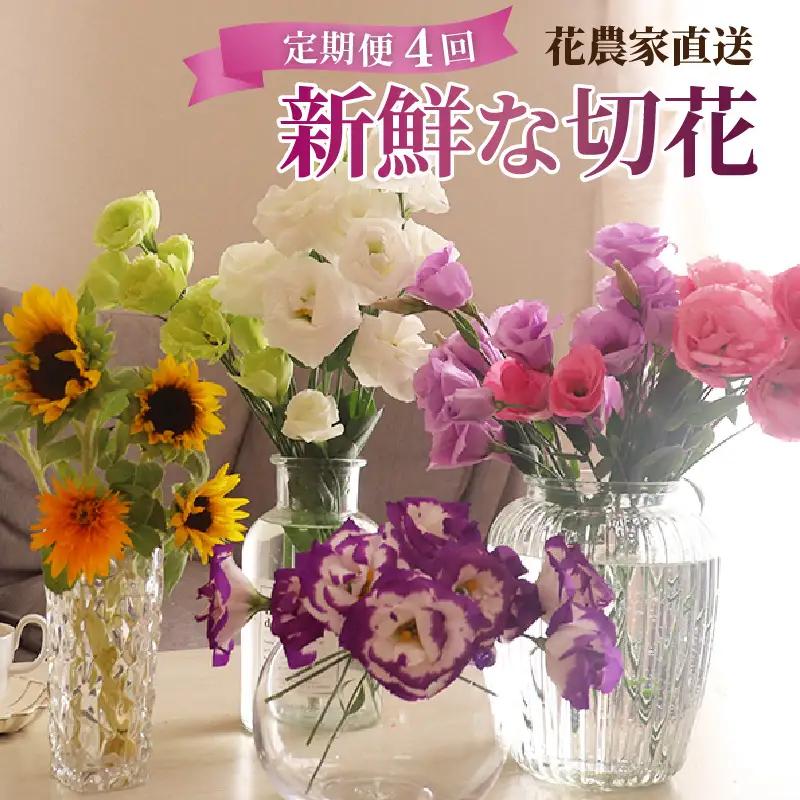 【定期便4回】花農家直送 新鮮な切花【春 夏 秋 冬】 / 生花 お花 旬の花束 豊かな生活 花のある生活 15本程度 2種 季節 年4回お届け