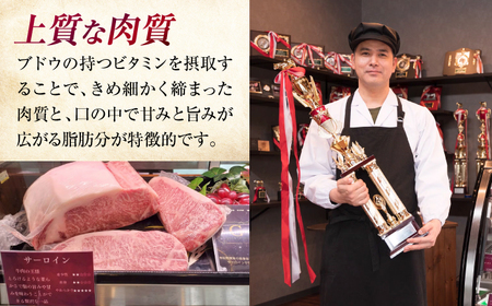 三次ワインビーフ 4種セット 800g 三次市/三次ワインビーフ みーとのば[APAX010]