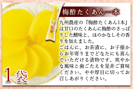 ＜漬物詰め合わせ 7種セット＞【 つけもの お漬物 セット 大根 食べ比べ お新香 たくあん 沢庵 つぼ つぼ漬け 味噌 味噌漬け みそ漬け ご飯 お弁当 付け合わせ おつまみ 】翌月末迄に順次出荷 