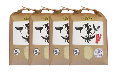 【令和7年産 2025年9月以降順次発送】お米のおいしさ伝えたい！丹波篠山産コシヒカリ5kg×4