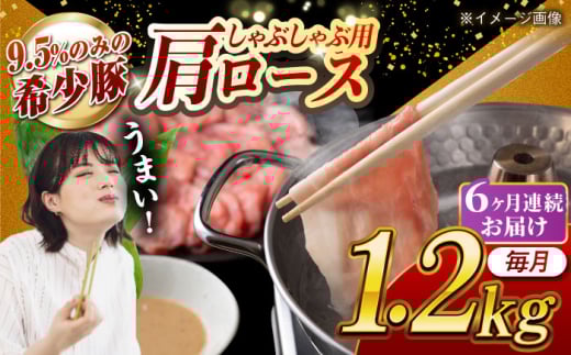 【月1回約1.2kg×6回定期便】大西海SPF豚 肩ロース（しゃぶしゃぶ用）計約7.2kg 長崎県/長崎県農協直販 [42ZZAA062]