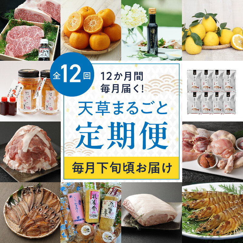 【ふるさと納税】【定期便12回】 数量限定 定期便 12回 毎月 お届け 天草 まるごと 堪能 牛肉 黒毛和牛 ぽんかん オリーブオイル 晩柑 殻出し 生うに 豚肉 真鯛 沖めし 鶏肉 天草大王 干物 蒲鉾 豚ロース 活き車海老 グルメ 海鮮 新鮮 柑橘 果物 天草産 産地直送 送料無料