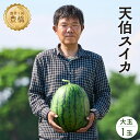 【ふるさと納税】鈴木さんの 『天伯スイカ』 大玉 1玉 糖度11度以上 2L 以上（7kg 以上）6月 7月 くだもの フルーツ すいか スイカ 季節 果物 旬 甘い スイーツ 西瓜 高級 希少 特別 美味しい こだわり 楽天限定 道の駅とよはし 先行予約 夏 愛知県 豊橋市 15000円