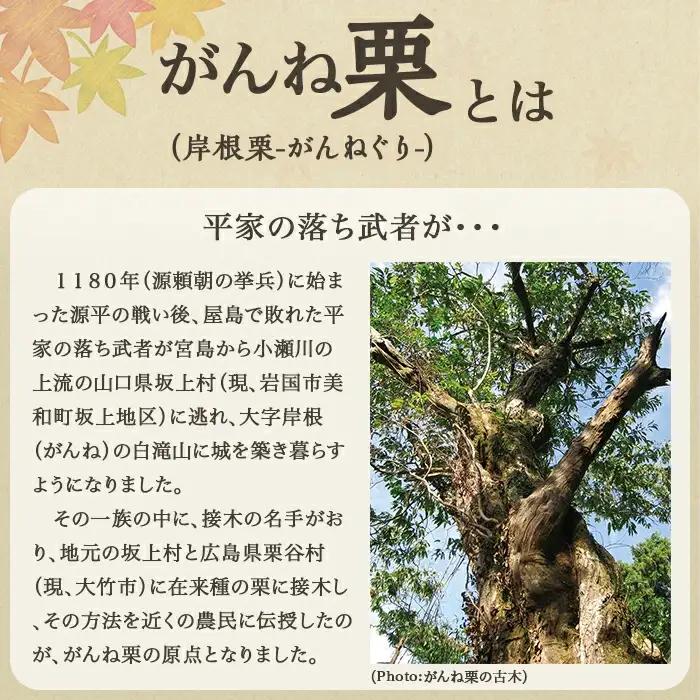 「がんね栗衛門」1口サイズ12個入り（がんね栗の栗きんとん）【がんね栗の里】