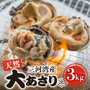 【ふるさと納税】天然大あさり 約3kg だし醤油 CAS冷凍 半割処理済 海鮮バーベキュー 特製だし醤油付き 海鮮バーベキュー BBQ 三河湾産 天然 大アサリ 大アサリ あさり 国産 アサリ 愛知県 田原市 新鮮 砂抜き 海鮮 魚介類 魚介 貝 冷凍 人気