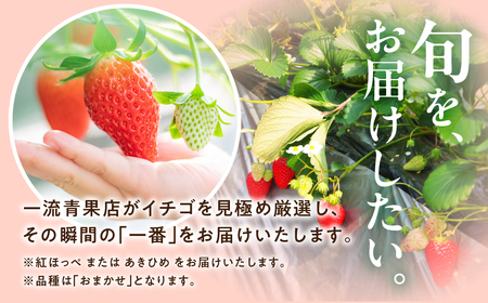 ≪先行予約≫ 厳選 あまイチゴ 約1kg パックいちご いちご イチゴ 苺 甘い 高糖度 糖度 フルーツ 果物 旬 旬の果物 旬のフルーツ おやつ ビタミン いちご狩り イチゴジャム 紅ほっぺ または