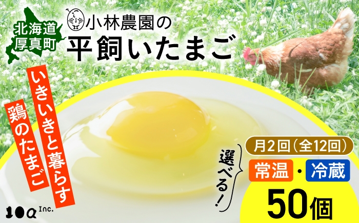 
                  【月2回・全12回定期便】小林農園の平飼いたまご・無投薬 50個《厚真町》【テンアール株式会社】 有精卵 卵 鶏卵 玉子 生卵 平飼い 北海道 定期便 [AXAN022]
                