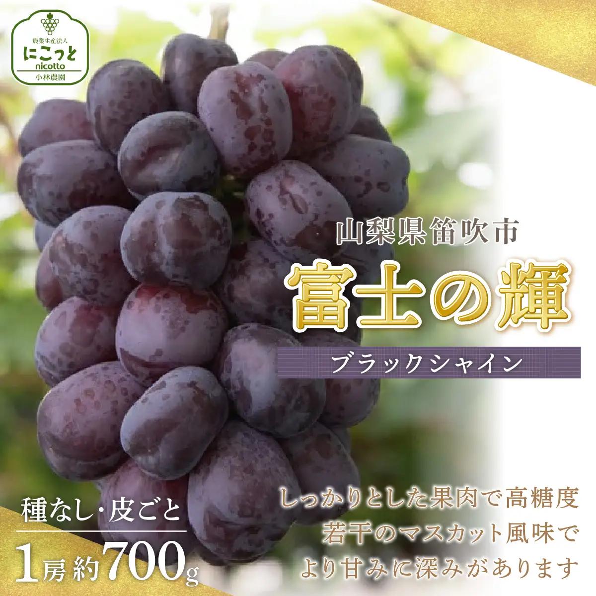 【先行予約】 富士の輝 1房約700g房 ブラックシャインマスカット 希少品種