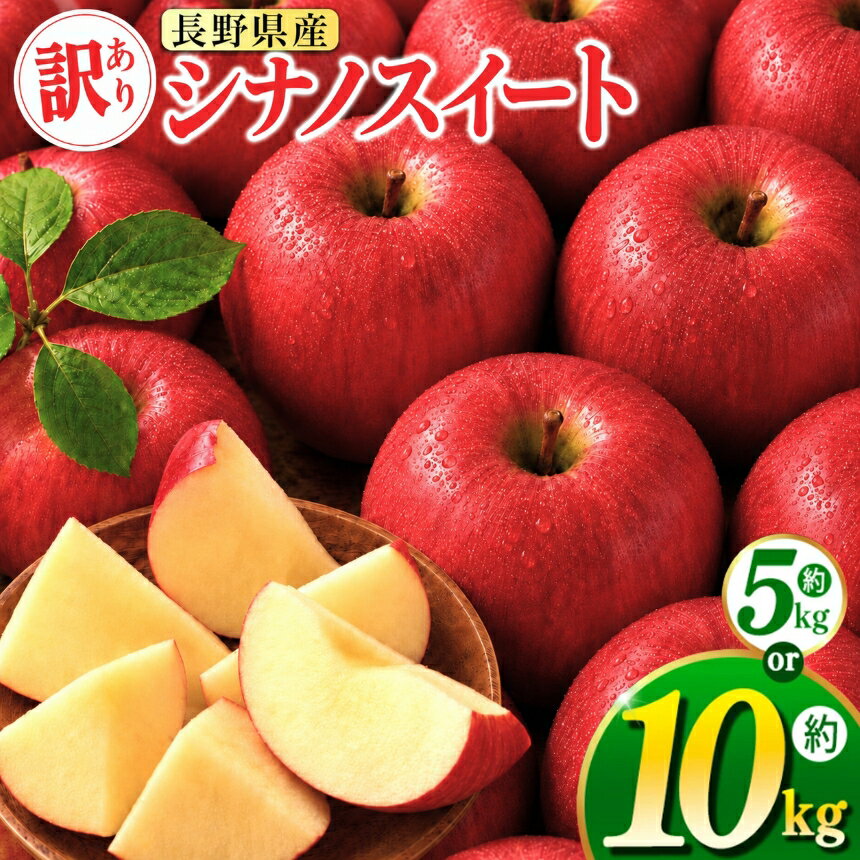 【ふるさと納税】 伊那市田原産 リンゴ シナノスイート 訳あり 約5kg or 約10kg｜りんご 林檎 フルーツ 果物 田原産 シナノスイート 甘い 伊那 伊那産 長野県 ふるさと納税【011-a6】【019-23】