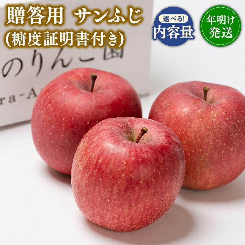 【ふるさと納税】≪内容量が選べる≫【1~2月発送】 青森県産 贈答用サンふじ（糖度証明書付き） 3kg 5kg【青森県 平川市 那由多のりんご園】贈答 青森 青森県産 平川 りんご リンゴ 林檎 くだもの 果物 フルーツ レビューキャンペーン
