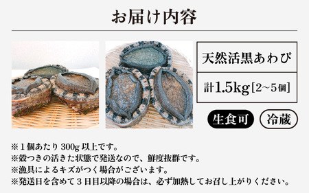 【先行予約】入手困難 日本海若狭湾の 天然 活黒アワビ 計1.5kg (2～5個) 特大サイズ 鮮度抜群！【2025年11月中旬より順次発送予定】 刺身 お造り バター焼き BBQ あわび アワビ 鮑
